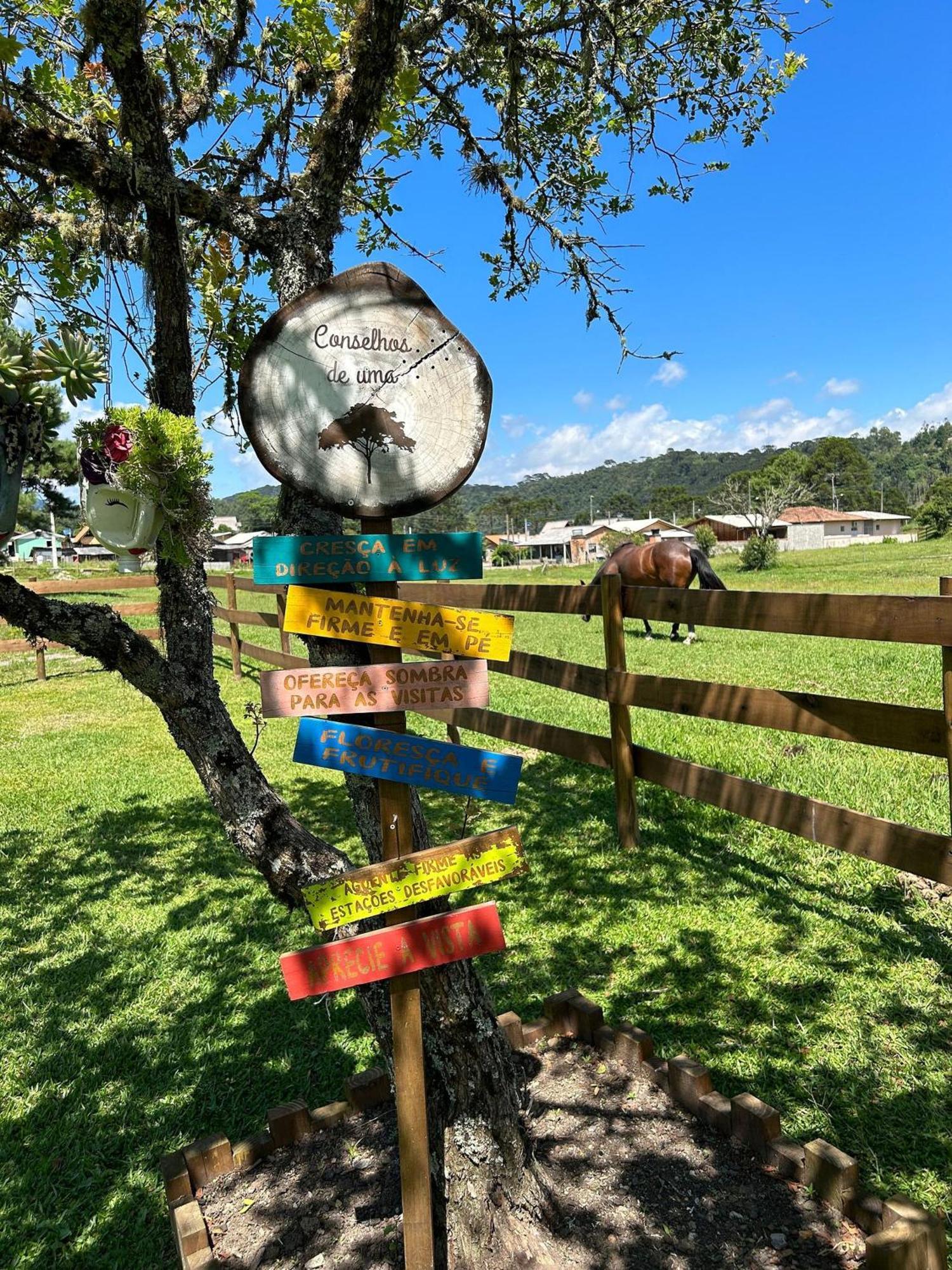 Toca Da Coruja Hospedagem - Urubici - Sc エクステリア 写真